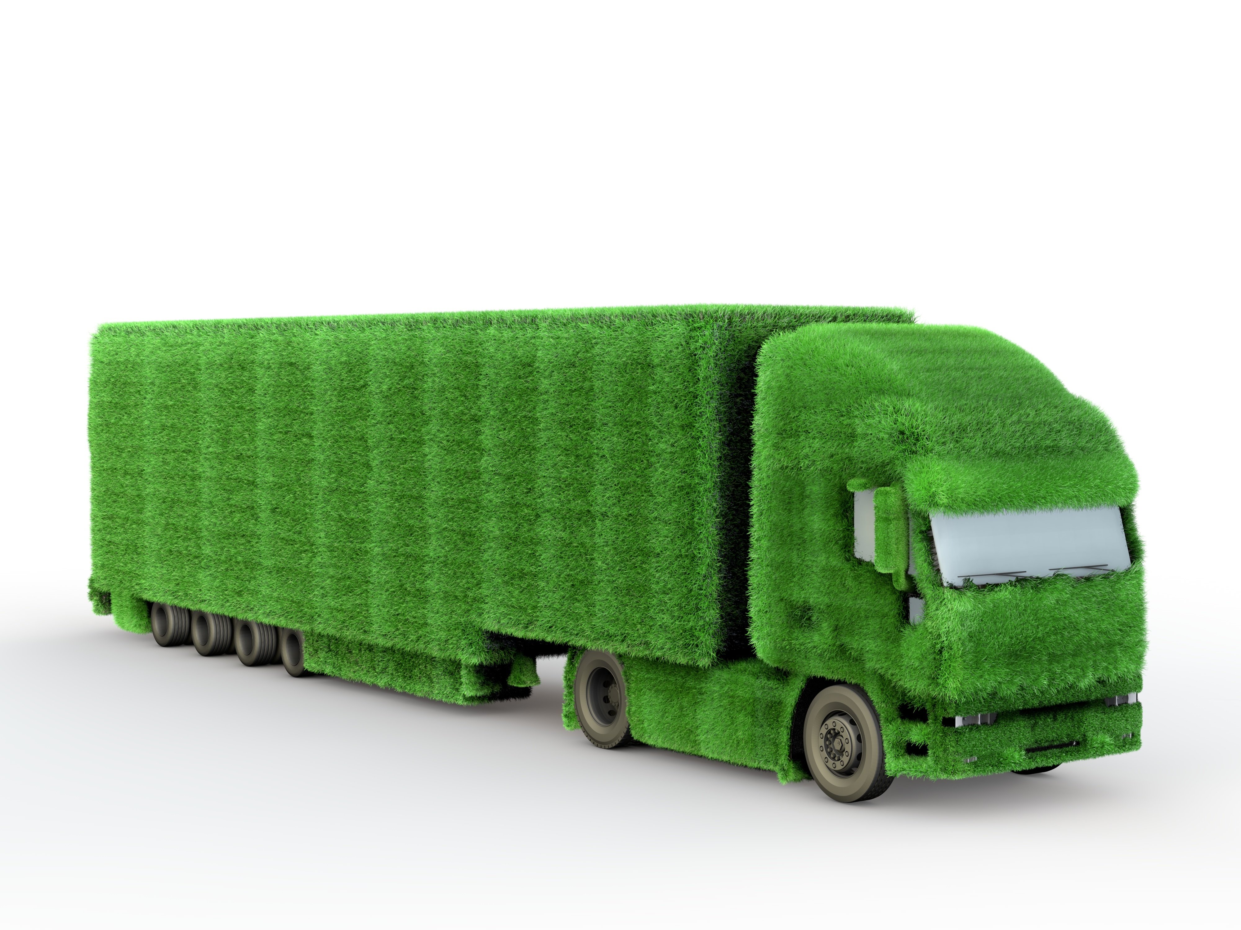 Green grass covering a 18 wheeler transport truck